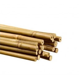 Tuteurs bambou Ø6/8 mm