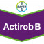 Actirob B 5 L