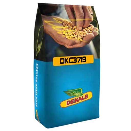 DKC 3719 Redigo
