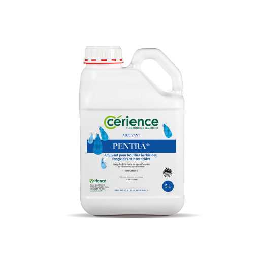 Pentra 5 L