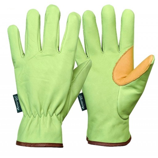 Gants taille Rostaing VS25