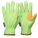 Gants taille Rostaing VS25