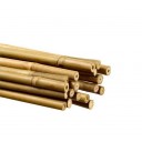 Tuteurs bambou Ø8/10 mm